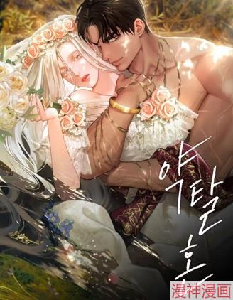 掠夺婚~,掠夺婚~漫画